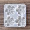 DIY Silicone Molds SIMO-Q001-01A-6
