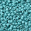 TOHO 3/0 Round Beads X-SEED-TR03-0055-2