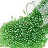 TOHO Round Seed Beads SEED-JPTR11-0167-1