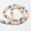 Shell Pearl Bead Strands BSHE-L017-17-4