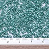MIYUKI Round Rocailles Beads X-SEED-G007-RR0435-4