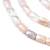 Gradient Color Electroplate Glass Bead Strands GLAA-E042-01E-3