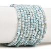 Natural Larimar Beads Strands G-F803-C01-03A-2