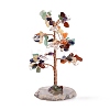 Natural Gemstone Chips & Agate Pedestal Display Decorations DJEW-A001-04G-2
