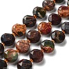 Natural Polychrome Jasper/Picasso Stone/Picasso Jasper Beads Strands G-NH0004-010-1