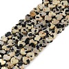 Natural Dalmatian Jasper Beads Strands G-M403-A31-01-1