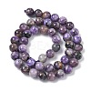 Natural Charoite Beads Strands G-C270-O02-05-3