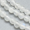 Natural Rainbow Moonstone Beads Strands X-G-A177-04-23-3