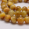 Natural Tiger Eye Bead Strands G-P230-08-E-12mm-3