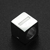 Non-Tarnish 201 Stainless Steel European Beads STAS-N090-LA062-I-1