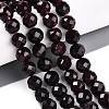 Natural Garnet Beads Strands G-S345-10mm-37-2