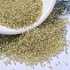 MIYUKI Delica Beads X-SEED-J020-DB1212-1