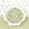 6/0 Glass Seed Beads SEED-N008-07E-2
