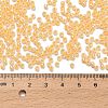 TOHO 8/0 Round Beads SEED-XTR08-0148-4