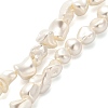 Electroplated Shell Pearl Beads Strands BSHE-C009-01A-1