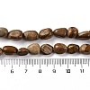 Natural Picture Jasper Beads Strands G-G146-A01-01-5
