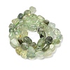 Natural Prehnite Beads Strands G-P497-01E-39-3