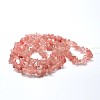 Cherry Quartz Glass Chip Beads Strands G-L269-41-3