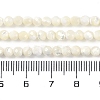Shell Beads Strands SSHEL-E571-38-4mm-5