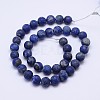 Frosted Round Natural Lapis Lazuli Beads Strands G-D743-6mm-2