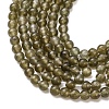 Natural Labradorite Beads Strands G-Z116-A04-3mm-4