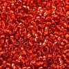 Glass Seed Beads X-SEED-S042-04B-10-3