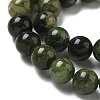 Natural Green Diopside Beads Strands G-K382-B01-01-4