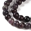 Natural Lepidolite/Purple Mica Stone Beads Strands G-P530-B06-02-4