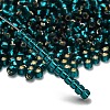 TOHO 6/0 Round Beads SEED-TR06-0027BD-2