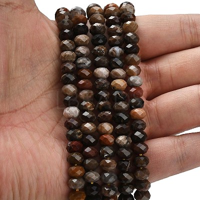 Natural Petrified Wood Beads Strands G-Z111-A50-1