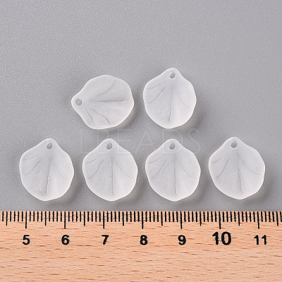 Transparent Frosted Acrylic Pendants MACR-S371-02A-701-1