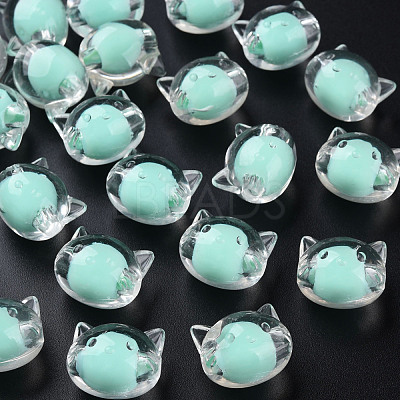 Transparent Acrylic Beads MACR-S373-115-B03-1