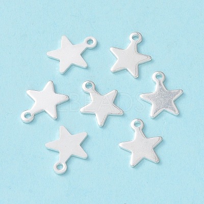 304 Stainless Steel Charms X-STAS-L234-069S-1