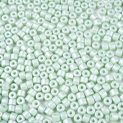 Baking Paint Pearlized Glass Seed Beads SEED-T008-03P-1