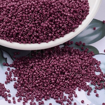MIYUKI Delica Beads X-SEED-J020-DB2355-1