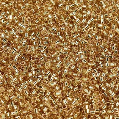 MIYUKI Delica Beads X-SEED-J020-DB2521-1