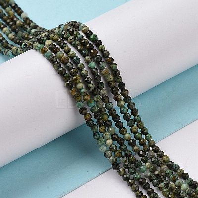 Natural African Turquoise(Jasper) Beads Strands G-P472-02-1