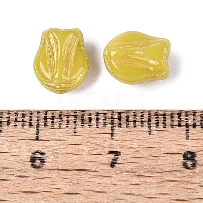 Glass Beads GLAA-T021-76M-03-1