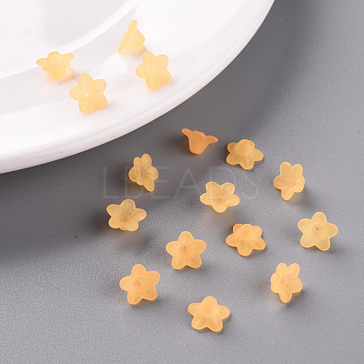 Transparent Acrylic Beads X-PL554-07-1