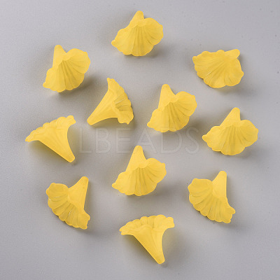 Transparent Acrylic Beads BSF796-C09-1