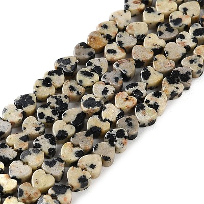 Natural Dalmatian Jasper Beads Strands G-M403-A31-01-1