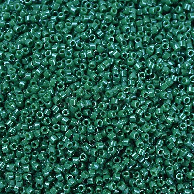 MIYUKI Delica Beads SEED-J020-DB0656-1