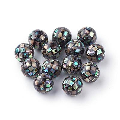 Natural Paua Shell Beads SSHEL-Q298-10mm-09-1