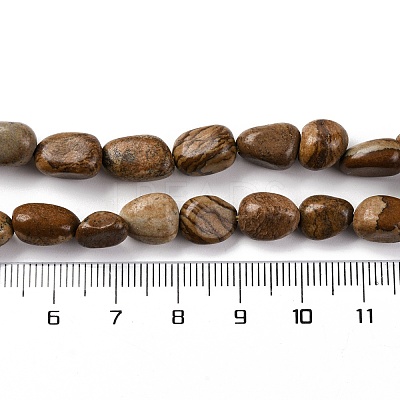 Natural Picture Jasper Beads Strands G-G146-A01-01-1