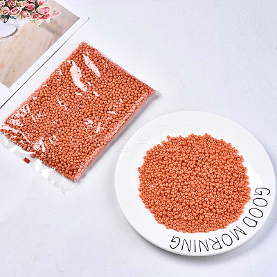 6/0 Glass Seed Beads SEED-S058-A-F422-1