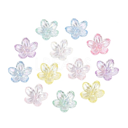 Transparent Plastic Bead Caps KY-N025-37-1