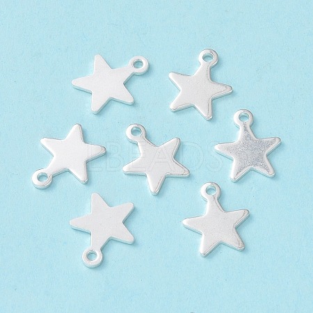 304 Stainless Steel Charms X-STAS-L234-069S-1