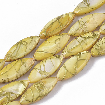 Drawbench Freshwater Shell Beads Strands SHEL-T014-008B-05-1