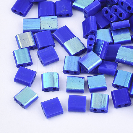 FGB 2-Hole Glass Seed Beads SEED-S031-L-048-R-1