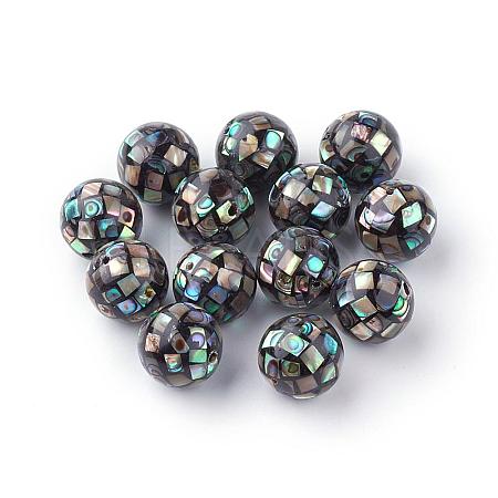 Natural Paua Shell Beads SSHEL-Q298-10mm-09-1